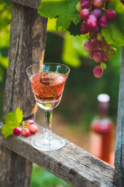 Rosenwein Freien Weingarten Weinprobe Mit Roten Trauben Auf Holzleiter Erntezeit — Stockfoto