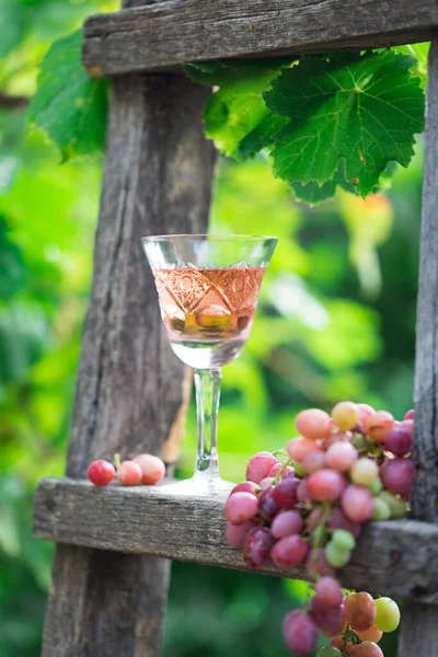 Vinho Rosa Livre Jardim Vinha Degustação Vinhos Com Uvas Vermelhas — Fotografia de Stock