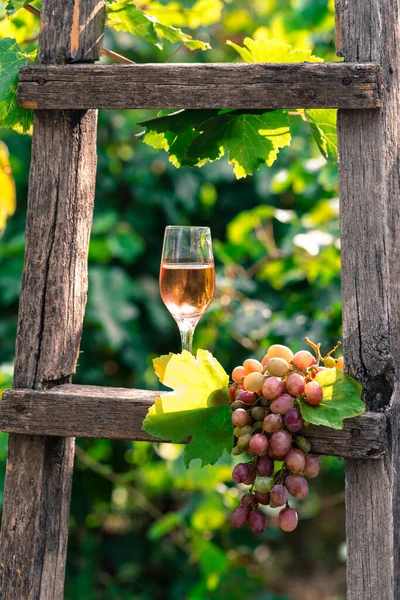 Copo Vinho Branco Escada Madeira Quintal Uva — Fotografia de Stock