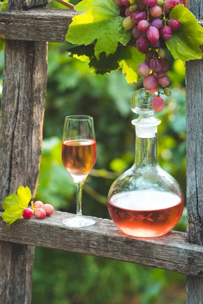 Wino Różane Świeżym Powietrzu Ogrodzie Winnicy Degustacja Win Czerwonymi Winogronami — Zdjęcie stockowe