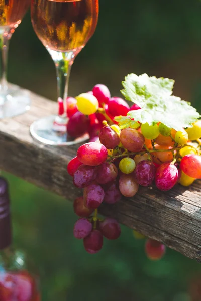 Two Glasses Rose Wine Bottle Outdoors Garden Party Vineyard Wine — Stock Photo, Image