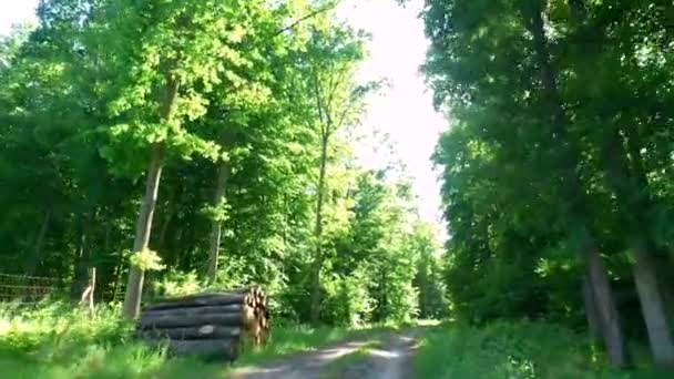 Dirigir em estrada rural na floresta verde, Polônia, Europa — Vídeo de Stock