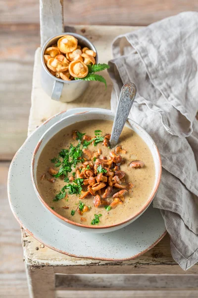 Delicious Homemade Mushrooms Soup Made Fresh Chanterelles — Stock Photo, Image