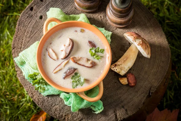 Delicioso Caseiro Boleto Creme Feito Cogumelos Nobres — Fotografia de Stock