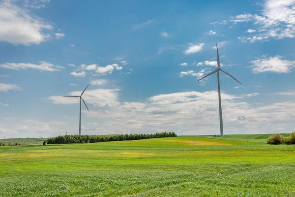 Turbiny Wiatrowe Zielonym Polu Słoneczny Dzień — Zdjęcie stockowe