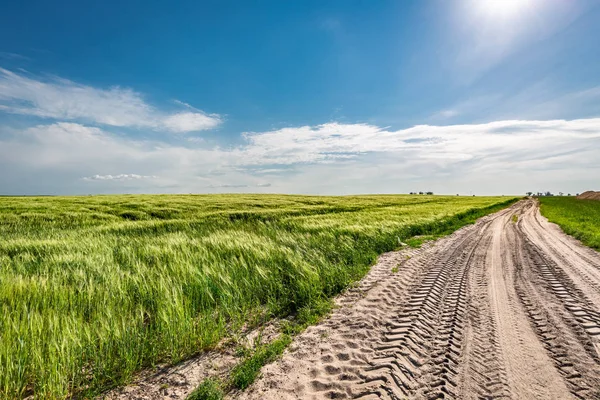 Impressionante Campo Verde Com Estrada Rural Dia Ensolarado — Fotografia de Stock