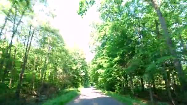 Dirigir Estrada Rural Através Floresta Verde Polônia Europa — Vídeo de Stock