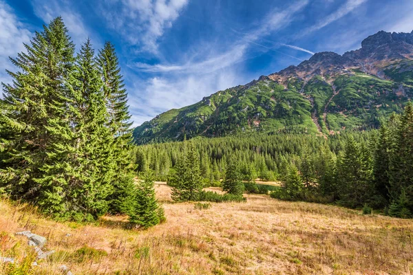 Journée Ensoleillée Petit Étang Dans Les Montagnes Tatra — Photo