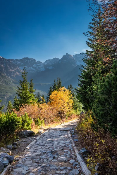 Stenen Pad Tatra Gebergte Bij Zonsondergang Herfst — Stockfoto