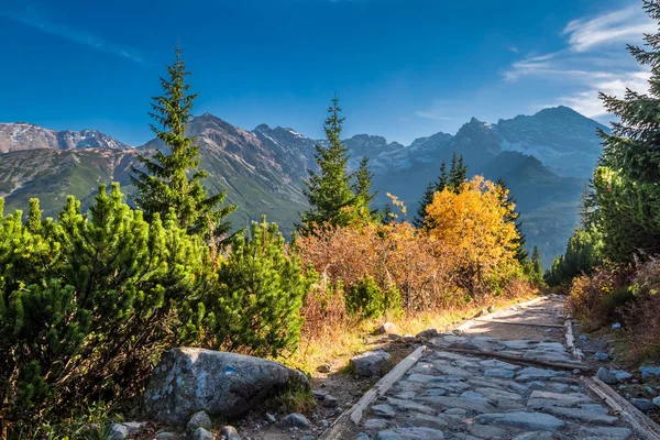 Oszałamiająca Chodnik Tatry Jesienią Zachodzie Słońca — Zdjęcie stockowe