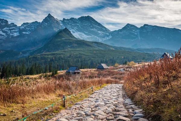 Kamieniste Ścieżki Doliny Górskie Tatry Polska — Zdjęcie stockowe