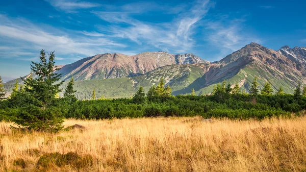 Vue Bleue Jaune Dans Les Montagnes Tatra Automne — Photo