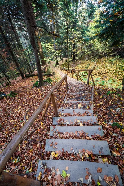 Leafy Path Sokolica Peak Pieniny Mountains Poland — Stock Photo, Image