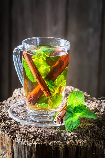 Tarçın Kabuğu Yeşil Yaprakları Ile Sıcak Taze Çay — Stok fotoğraf