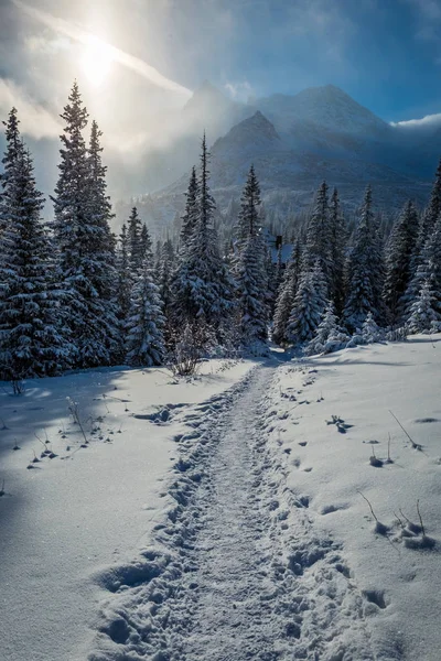Disfrute Viaje Invierno Las Montañas Tatras Polonia —  Fotos de Stock