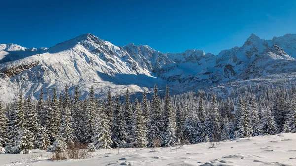 Caminho Montanha Nevado Inverno Tatras Mountains Polônia — Fotografia de Stock