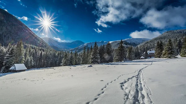 Chemin Menant Montagne Hiver Les Montagnes Tatra — Photo