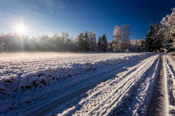 Fagyasztott Havas Erdőben Napkeltekor Télen Lengyelország — Stock Fotó