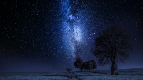 Rörligt Vintergatan Och Fältet Med Träd Natten Timelapse — Stockvideo