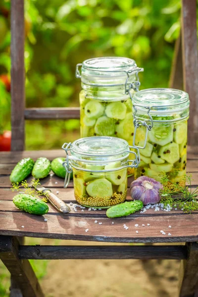 Homemade Pickled Cucumbers Small Summer Greenhouse — Stock Photo, Image