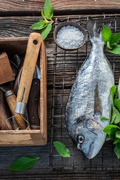 Würzen Von Frisch Gefangenem Fisch Mit Minze Und Zitrone — Stockfoto