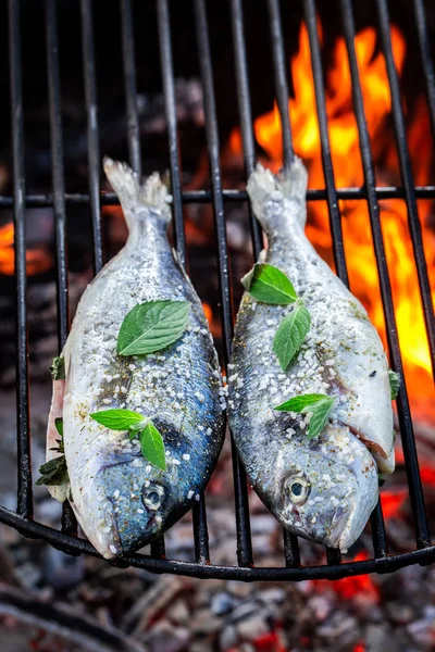 Delicious Fish Grill Herbs Salt — Stock Photo, Image