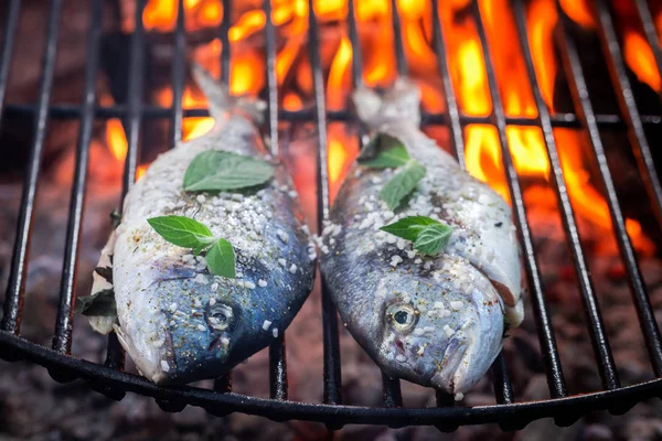 Pescado Caliente Parrilla Con Hierbas Sal — Foto de Stock