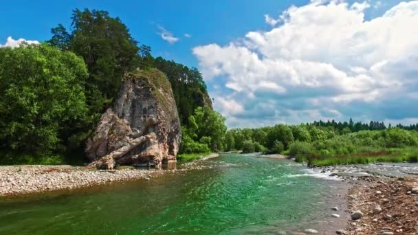 Bialka Ποταμός Στα Βουνά Pieniny Μια Ηλιόλουστη Ημέρα Καλοκαίρι — Αρχείο Βίντεο