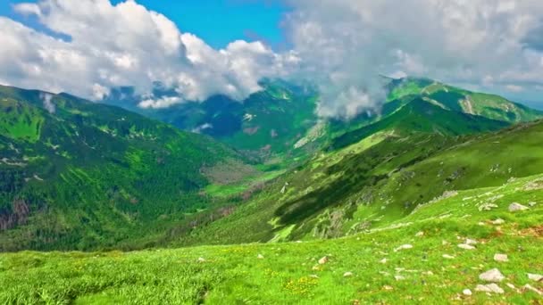 Vista Topo Kasprowy Wierch Para Vale Verde Verão Polônia — Vídeo de Stock