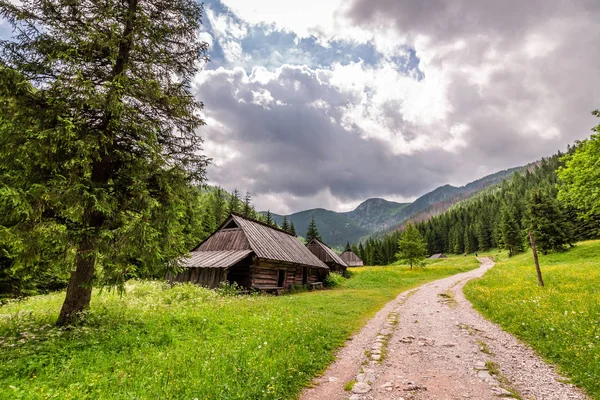 Zonnige Voetpad Tatra Gebergte Met Houten Huisjes Polen — Stockfoto