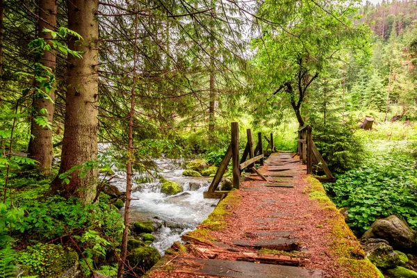 Ponte Madeira Velha Sobre Córrego Tatras — Fotografia de Stock