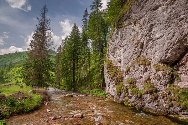 Maravilhoso Pequeno Riacho Vale Koscieliska Nas Montanhas Tatra — Fotografia de Stock