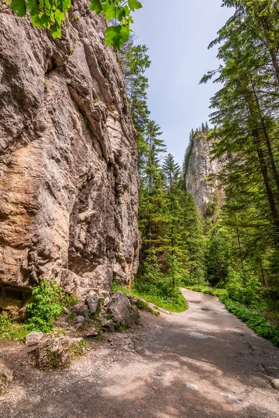 Stunning Stony Path Koscieliska Valley Tatra Mountains — Stock Photo, Image