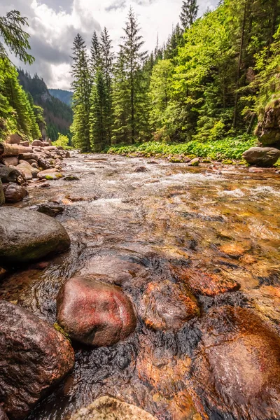 Pequeno Riacho Com Pedras Vale Koscieliska Nas Montanhas Tatra — Fotografia de Stock