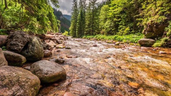 Piękny Mały Strumień Kamieniami Dolinie Kościeliskiej Tatry — Zdjęcie stockowe