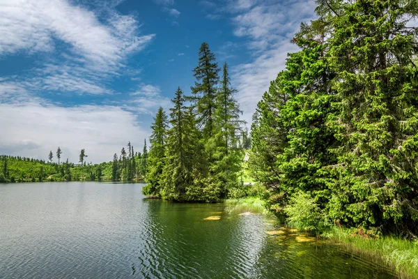 Breathtaking Strbske Pleso Mountain Lake Summer — Stock Photo, Image