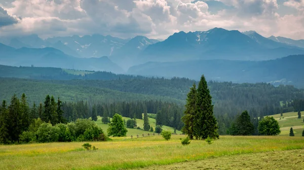 Montagne Nuvolose Tatra Tramonto Estate — Foto Stock