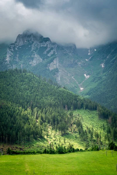 Monts Tatra Nuageux Avec Une Vallée Verte Illuminée Slovaquie — Photo