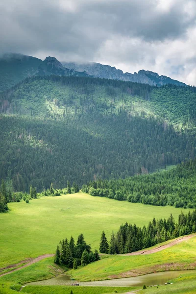 Gröna Dalen Och Grumlig Tatrabergen Slovakien — Stockfoto