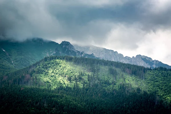 Oświetlony Zielone Doliny Zachmurzony Tatry Słowacja — Zdjęcie stockowe
