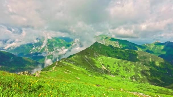 Góry Kasprowy wierch i green valley w lecie, Polska — Wideo stockowe