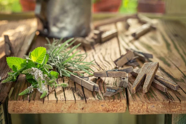 Freshly Harvested Herbs Ready Dry Countryside — Stock Photo, Image