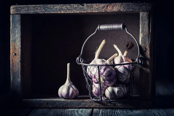 Aromatic Rustic Garlic Old Metal Basket — Stock Photo, Image