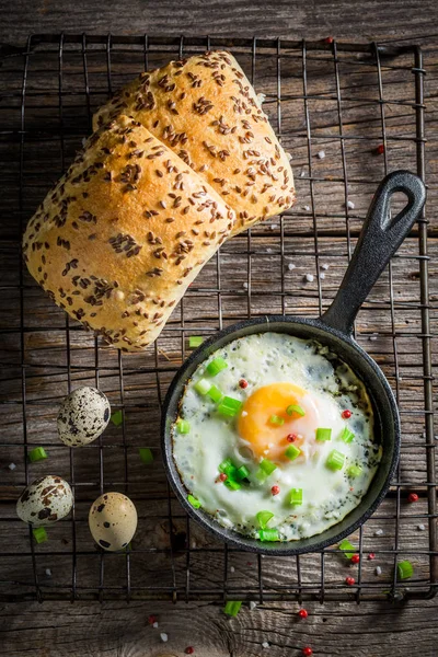 Huevos Fritos Con Cebollino Rollo Para Desayuno —  Fotos de Stock