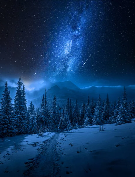 Montañas Tatras Invierno Por Noche Estrellas Que Caen —  Fotos de Stock