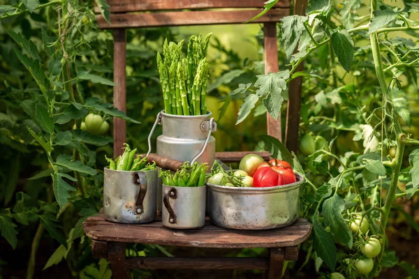 Gezonde Mix Van Groenten Met Tomaten Erwten — Stockfoto