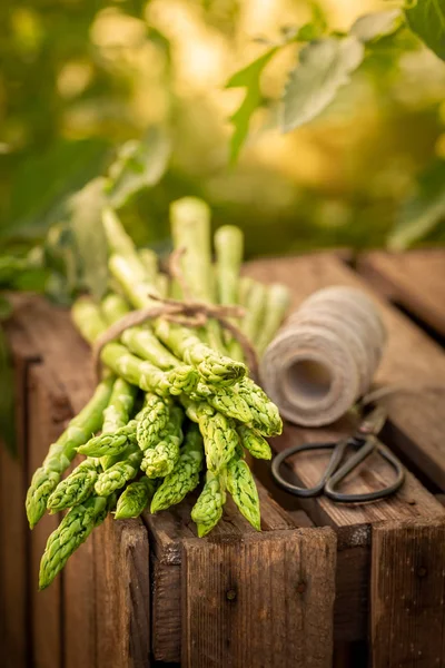 Healthy Green Asparagus Rustic Greenhouse — Stock Photo, Image