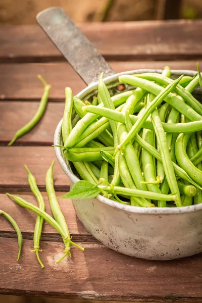 Gezonde Groene Bonen Een Oude Aluminium Pot — Stockfoto