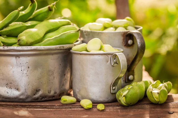 Close Van Tuinbonen Oude Houten Stoel — Stockfoto