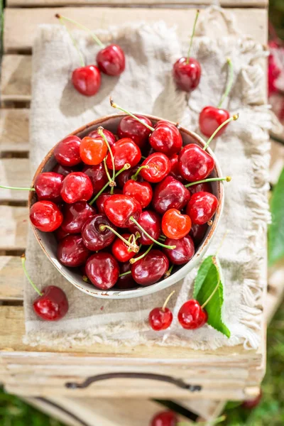 Fresh Sweet Cherries White Old Bowl — Stock Photo, Image